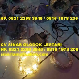 Lampu LED Natal Kawat 10m Warmwhite